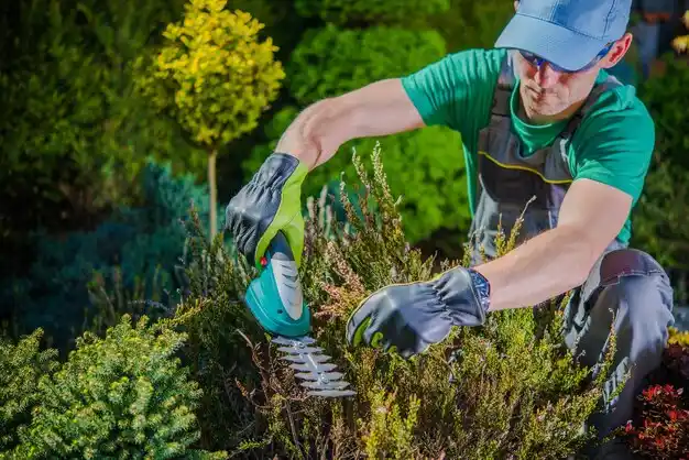 landscaping services Owingsville